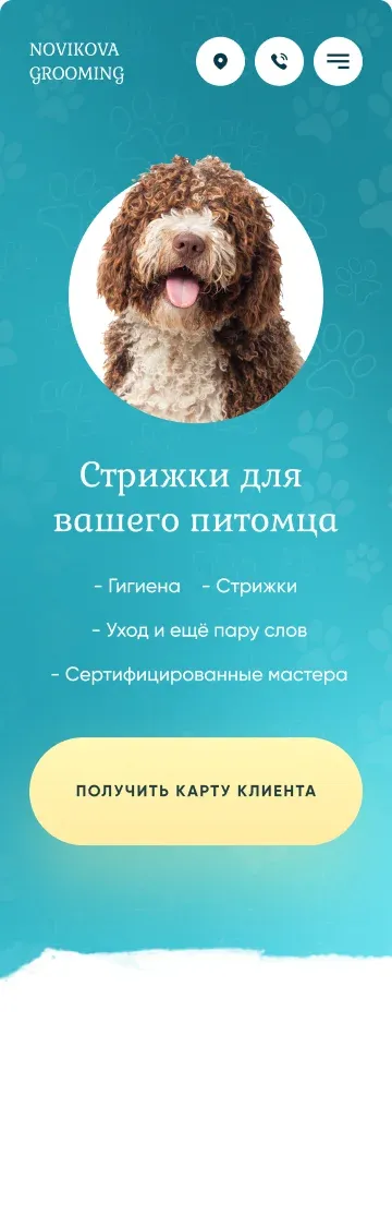 Novikova Grooming — Мобильная версия · Фрагмент